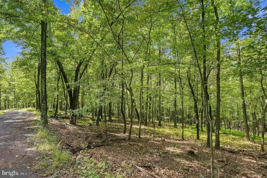Lot 69 Red Maple Dr, Baker, WV 26801 - #2