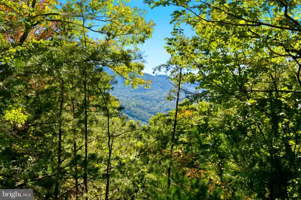 195 Hinkle Mt Rd, MOOREFIELD, WV 26836