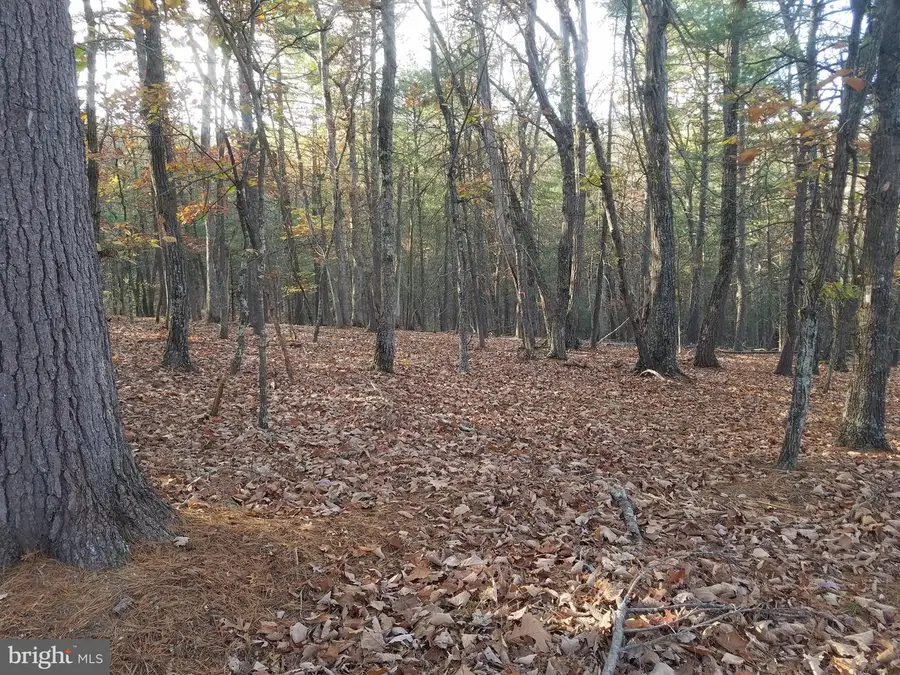 Acorn/solitude, Romney, WV 26757 - Image #2