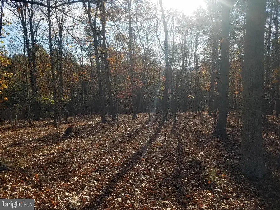 Crystal Valley Dr, Romney, WV 26757 - Image #3