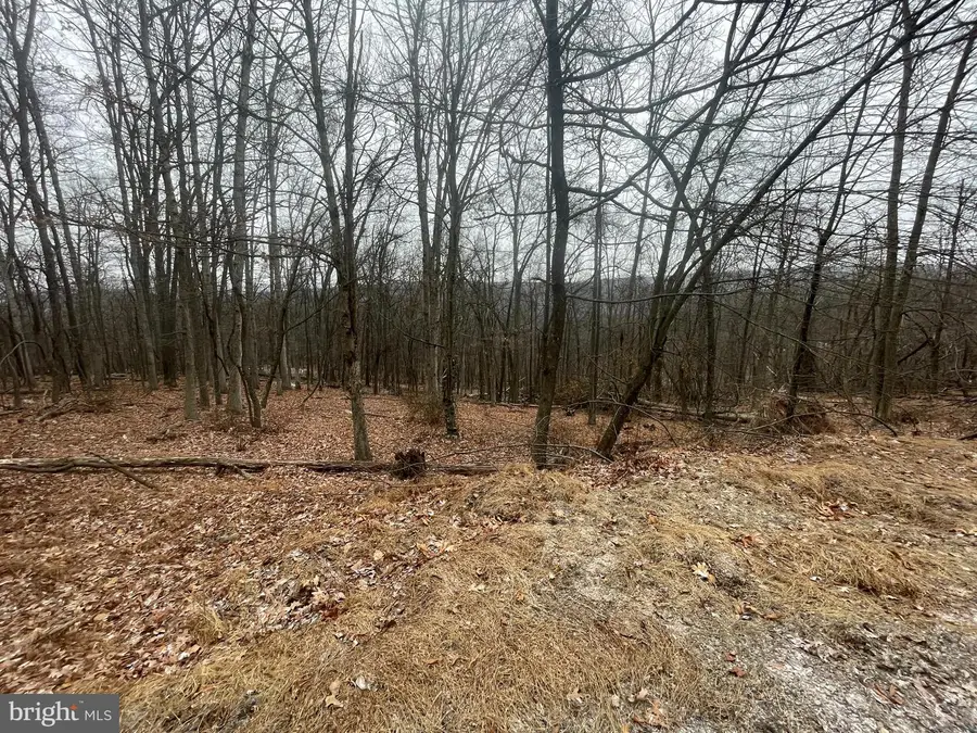 Lot 40 Wild Apple Ln, Paw Paw, WV 25434 - Image #3
