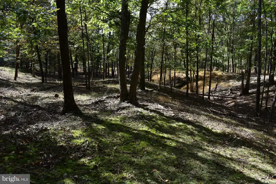 Lot 5 Private Ranch Rd, Romney, WV 26757 - Image #2