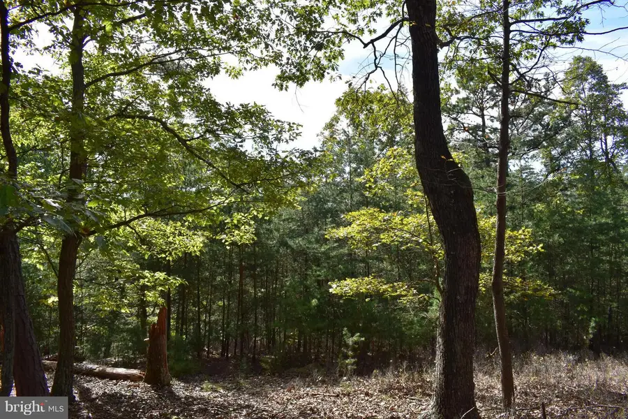 Lot 5 Private Ranch Rd, Romney, WV 26757 - Image #3