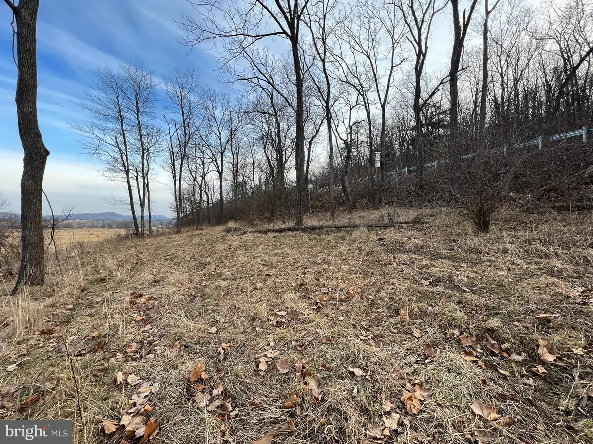 Tbd Hummingbird Lane Ln #lot 1a, Capon Bridge, WV 26711 - Image #1