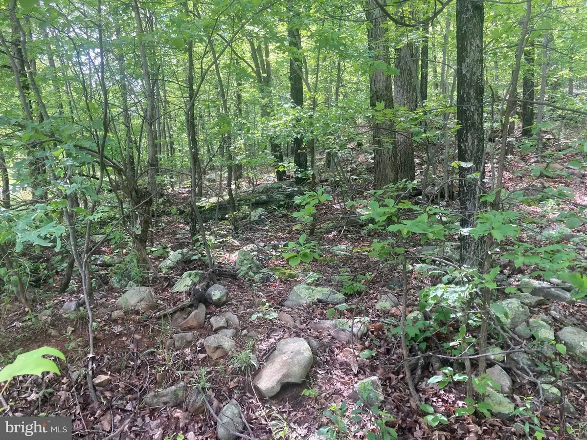 840 Falconwood Dr, Paw Paw, WV 25434 - Image #1