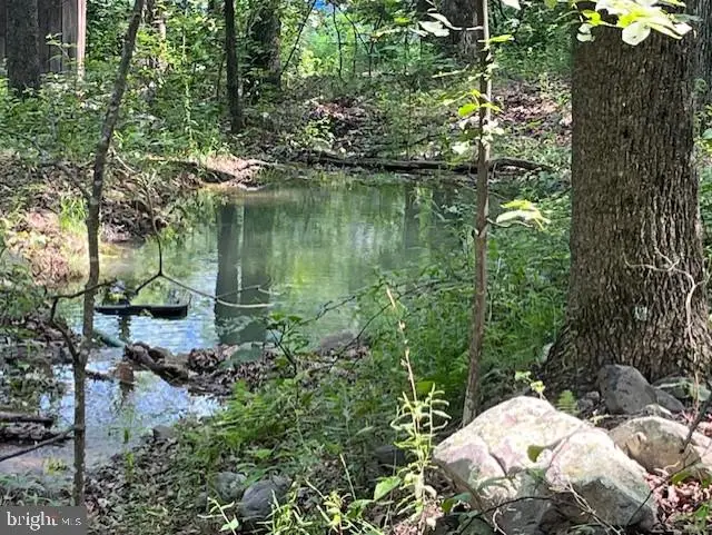 659 Falconwood Rd, Paw Paw, WV 25434 - Image #3