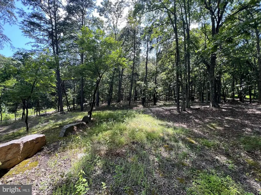 634 Island Ridge Rd, Purgitsville, WV 26852 - Image #2