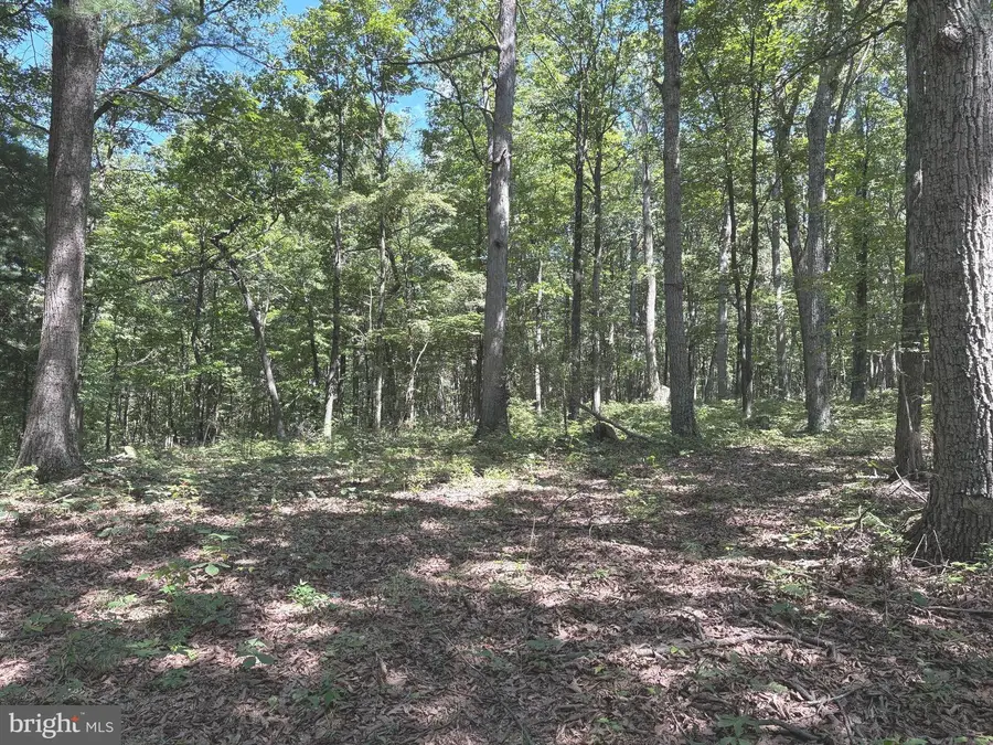 5.05 Ac Hoy Rd, Augusta, WV 26704 - Image #2