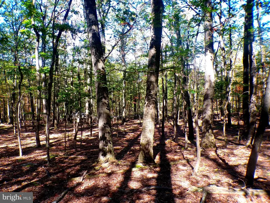 Big Horn Trail #e-16, Augusta, WV 26704 - Image #2