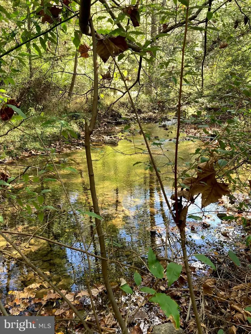 Lot 2 Old Mill Rd, Capon Bridge, WV 26711 - Image #3