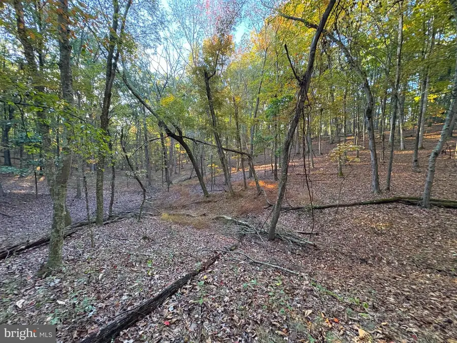 7313 Little Cacapon Rd, Romney, WV 26757 - Image #2