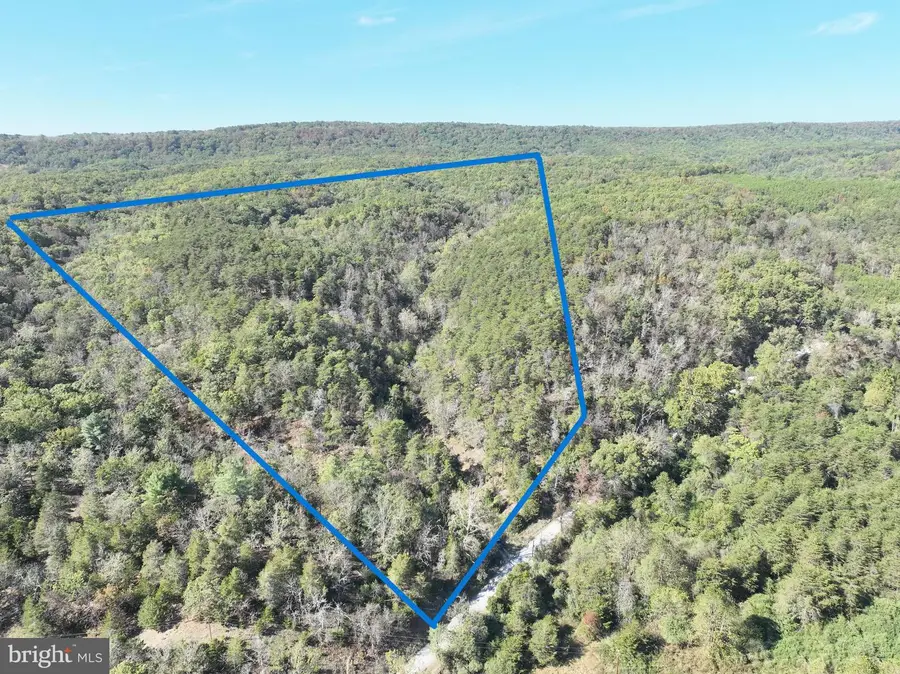 7313 Little Cacapon Rd, Romney, WV 26757 - Image #3