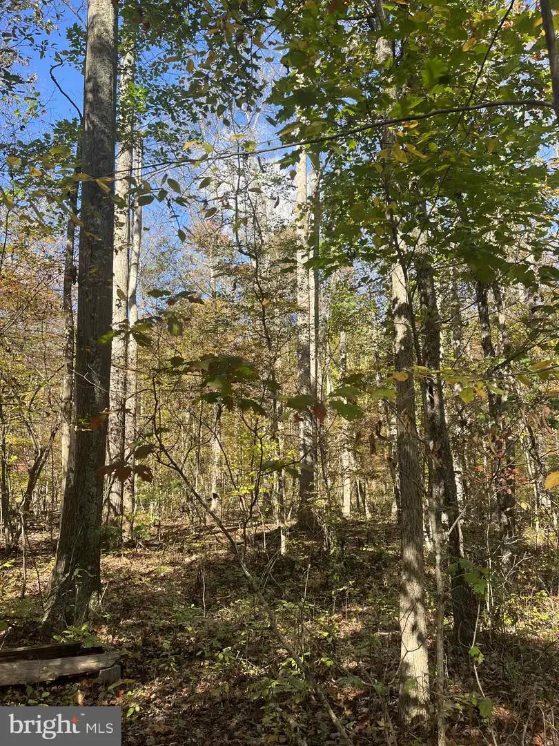 Lot 3b Mack Road, Augusta, WV 26704 - Image #3