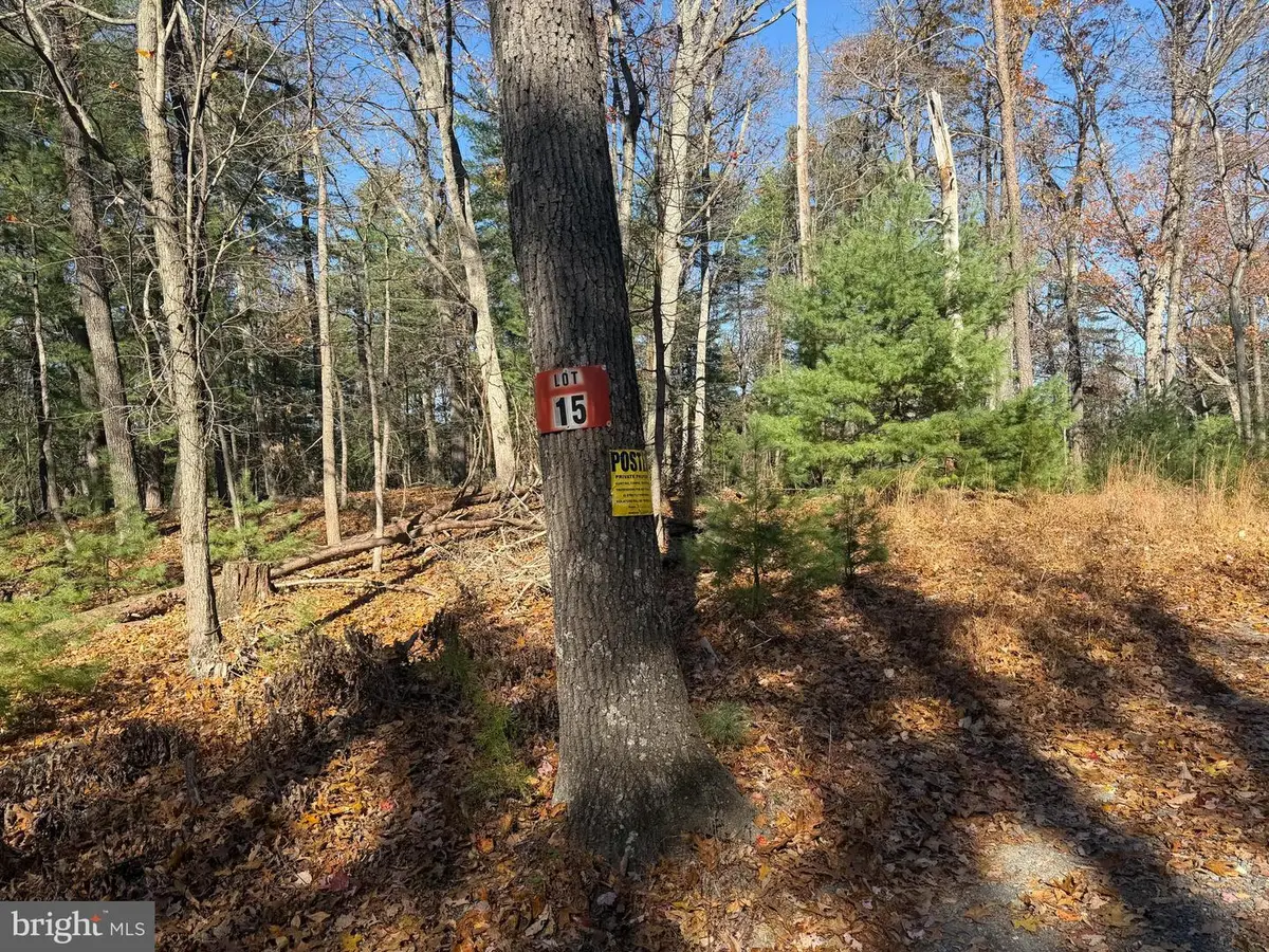 Laurel Dale Ct, Capon Bridge, WV 26711 - Image #1