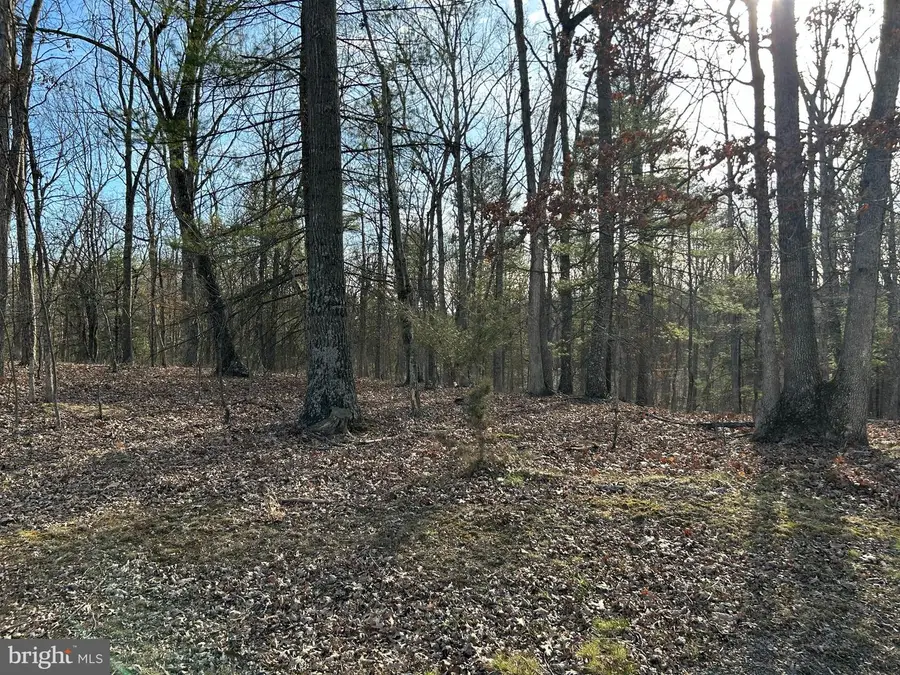 Misty Meadows Ln, Augusta, WV 26704 - Image #3