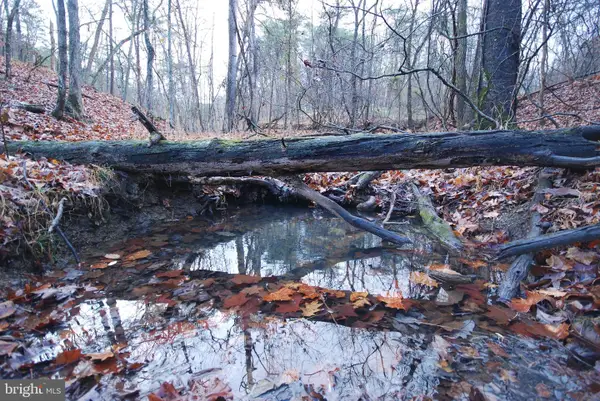 Lot 29 & 30 Staubwoods Dr, ROMNEY, WV 26757