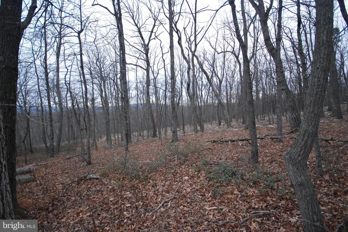 Lot 88 Wakeman Dr, Augusta, WV 26704 - Image #1