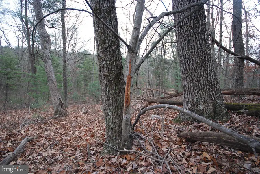 Lot 52 Pony Express Ln, Augusta, WV 26704 - Image #3