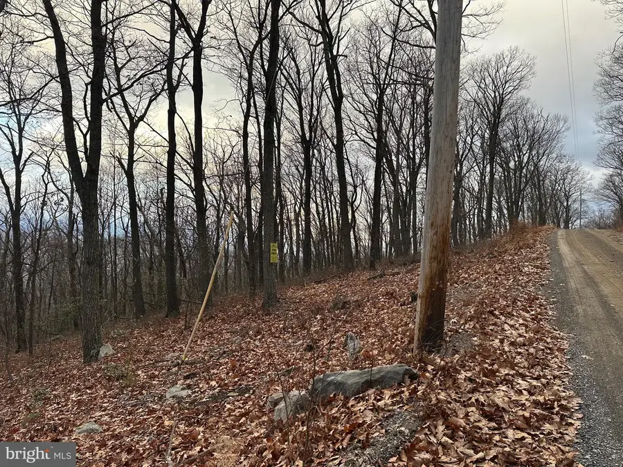 Lot 24 Sec 10 Lawyer Ln, Slanesville, WV 25444 - Image #2