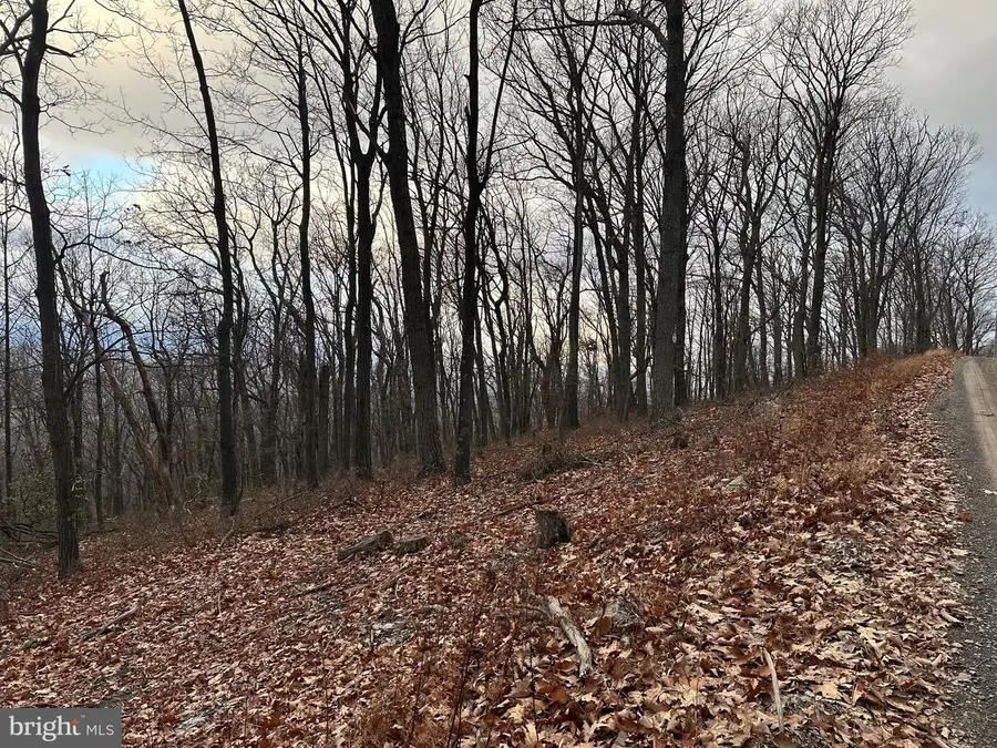 Lot 24 Sec 10 Lawyer Ln, Slanesville, WV 25444 - Image #3