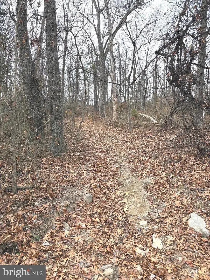 Pcl 19, Section 9 Dehaven Road, Capon Bridge, WV 26711 - Image #2