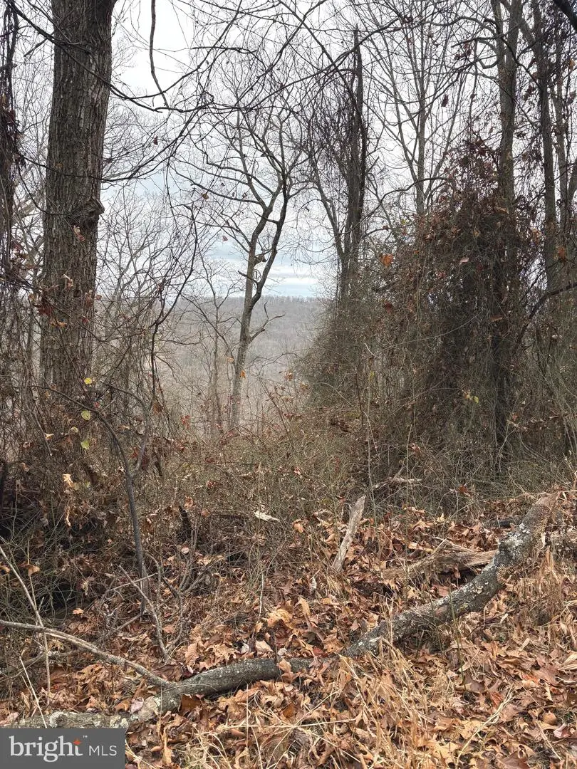 Pcl 19, Section 9 Dehaven Road, Capon Bridge, WV 26711 - Image #3