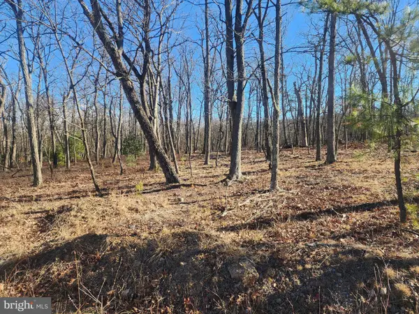 Lot-65 N Pioneer Ln, AUGUSTA, WV 26704