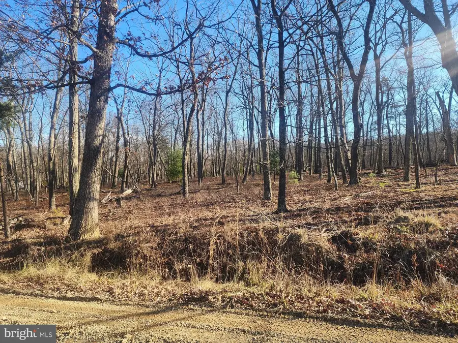 Lot-65 N Pioneer Ln, Augusta, WV 26704 - Image #2