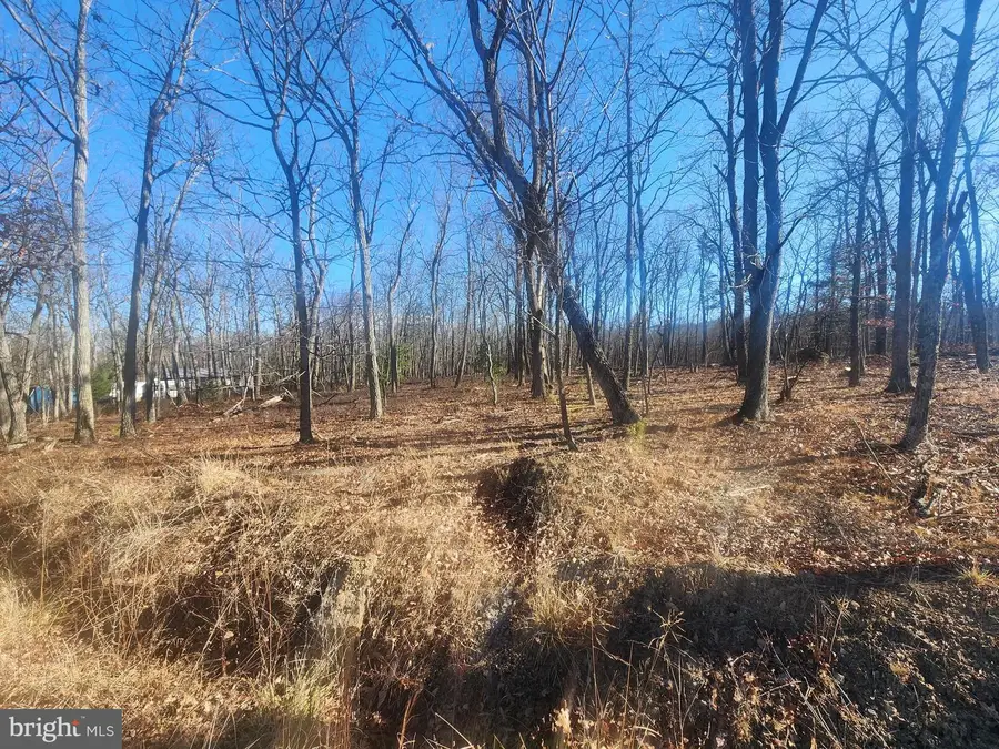 Lot-65 N Pioneer Ln, Augusta, WV 26704 - Image #3