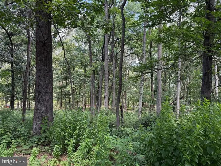 80 Cabin Road, Augusta, WV 26704 - Image #2