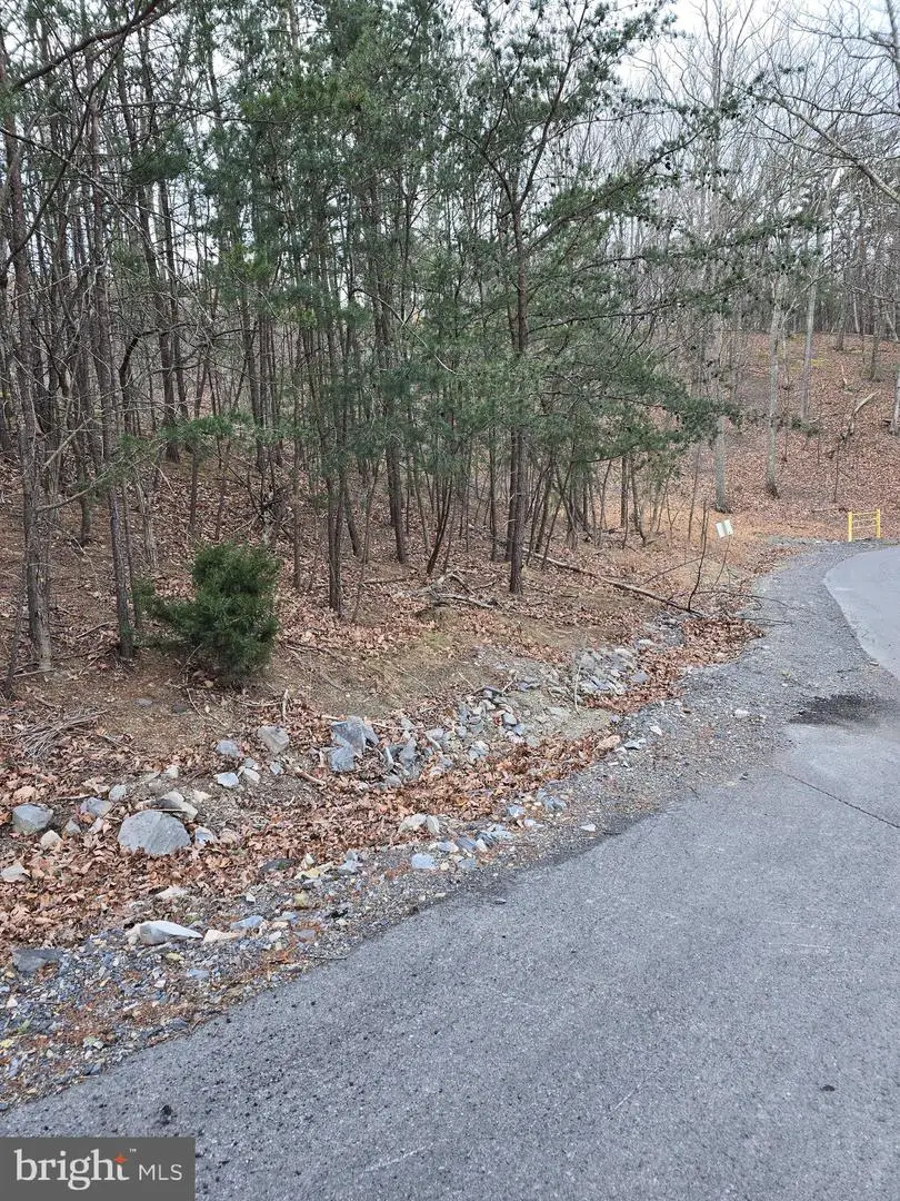 Lot 1 Cornwell Dr, Romney, WV 26757 - Image #1