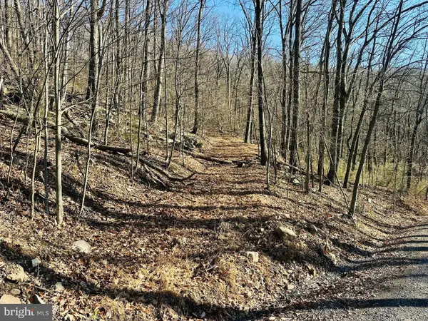 256 Lawyer Ln, SLANESVILLE, WV 25444