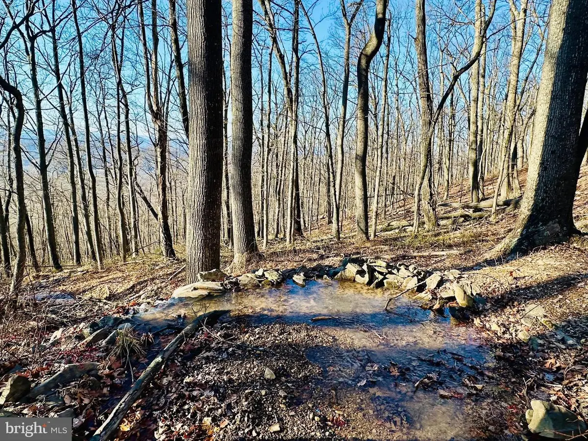 Lot 13 Sec 8 Lawyer Ln, Slanesville, WV 25444 - #1