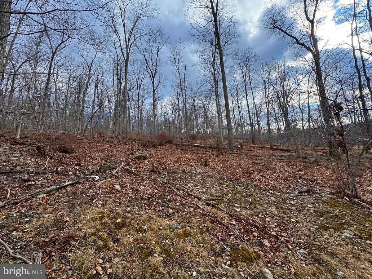 Frog Hollow Road, Capon Bridge, WV 26711 - #1