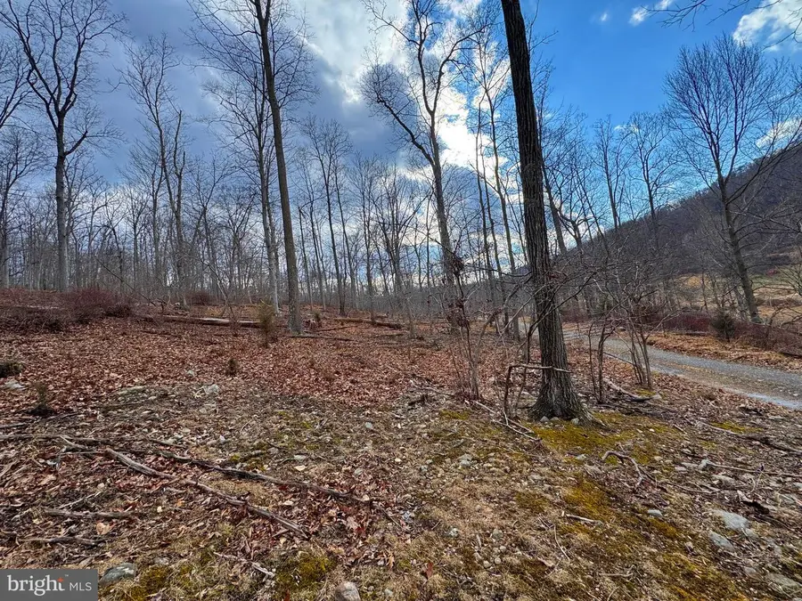 Frog Hollow Road, Capon Bridge, WV 26711 - #3