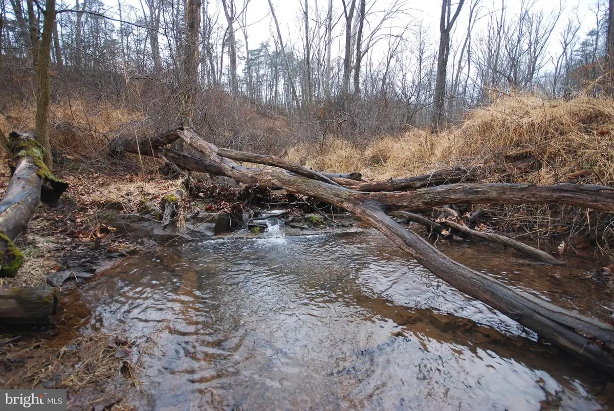 Lot 21 White Mountain Way, Romney, WV 26757 - #1