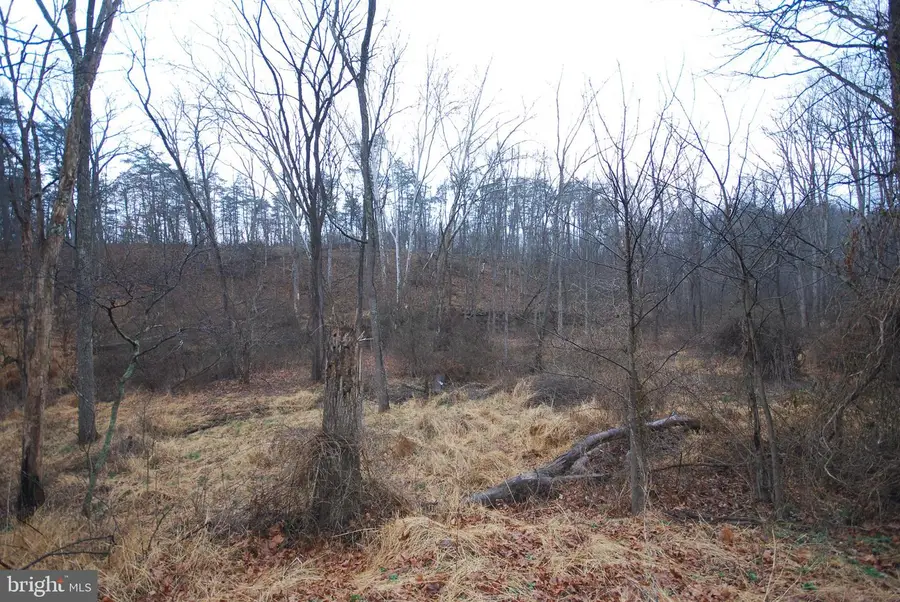 Lot 21 White Mountain Way, Romney, WV 26757 - #3