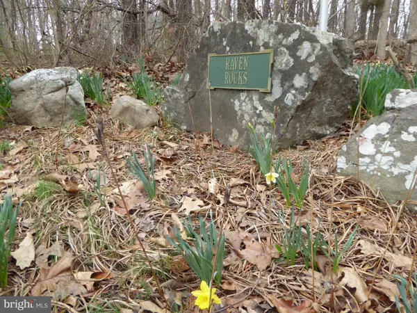 Lot 13 Fawn Dr, SPRINGFIELD, WV 26763