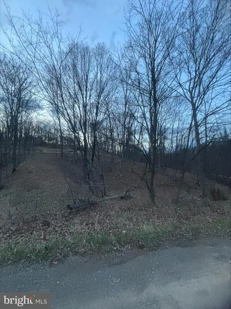 Lost Run, Levels, WV 25431 - #3