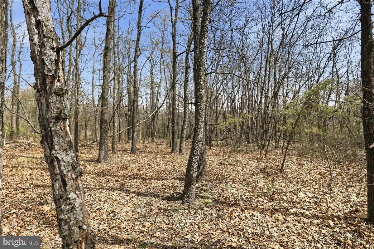 Lot 62 Phase 2 Crest Haven Rd, Romney, WV 26757 - #1