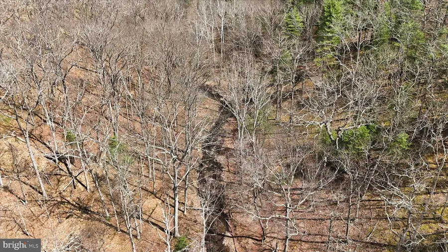 Lot 62 Phase 2 Crest Haven Rd, Romney, WV 26757 - #2