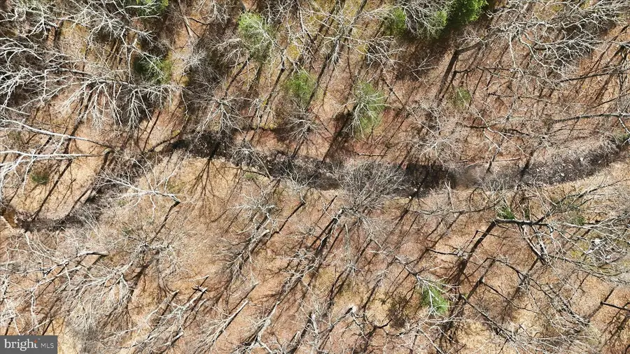 Lot 62 Phase 2 Crest Haven Rd, Romney, WV 26757 - #3