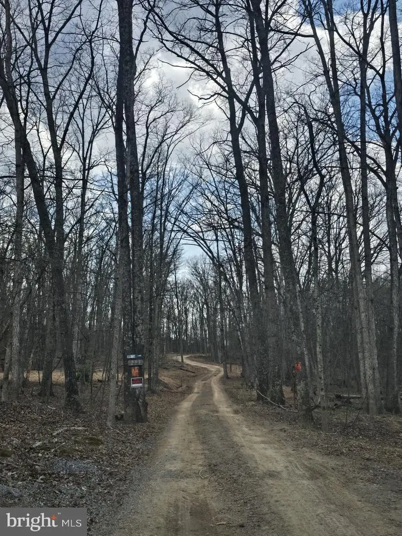 293 Elliot Ln, High View, WV 26808 - #2