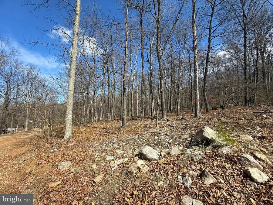 Lot 65 High Mountain View Rd, Romney, WV 26757 - #2