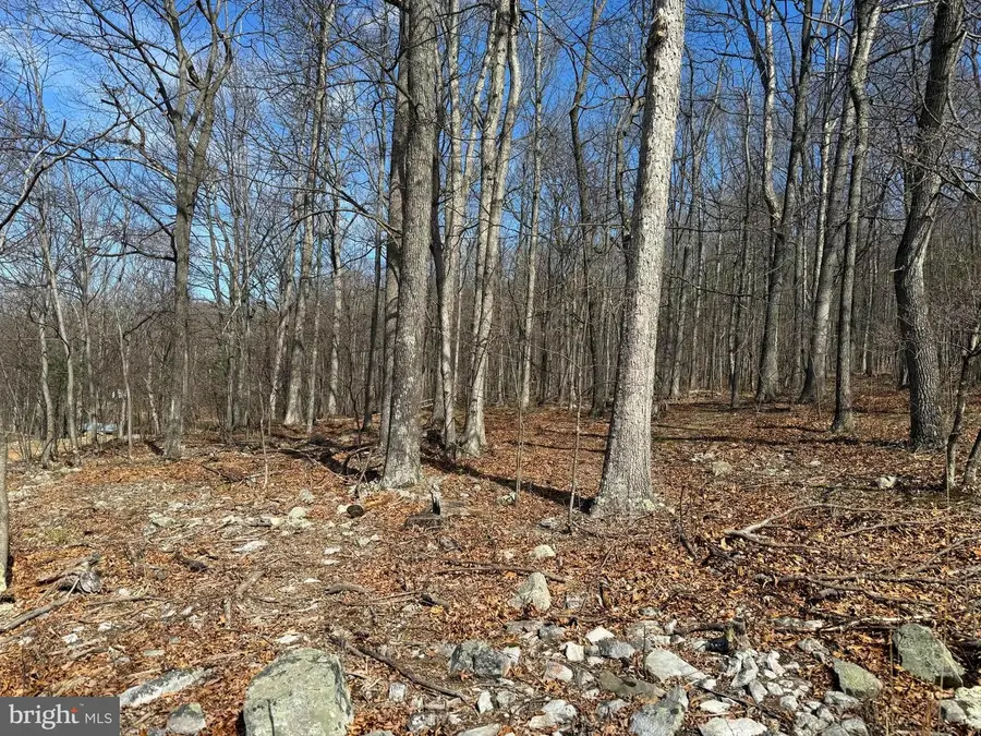 Lot 65 High Mountain View Rd, Romney, WV 26757 - #3
