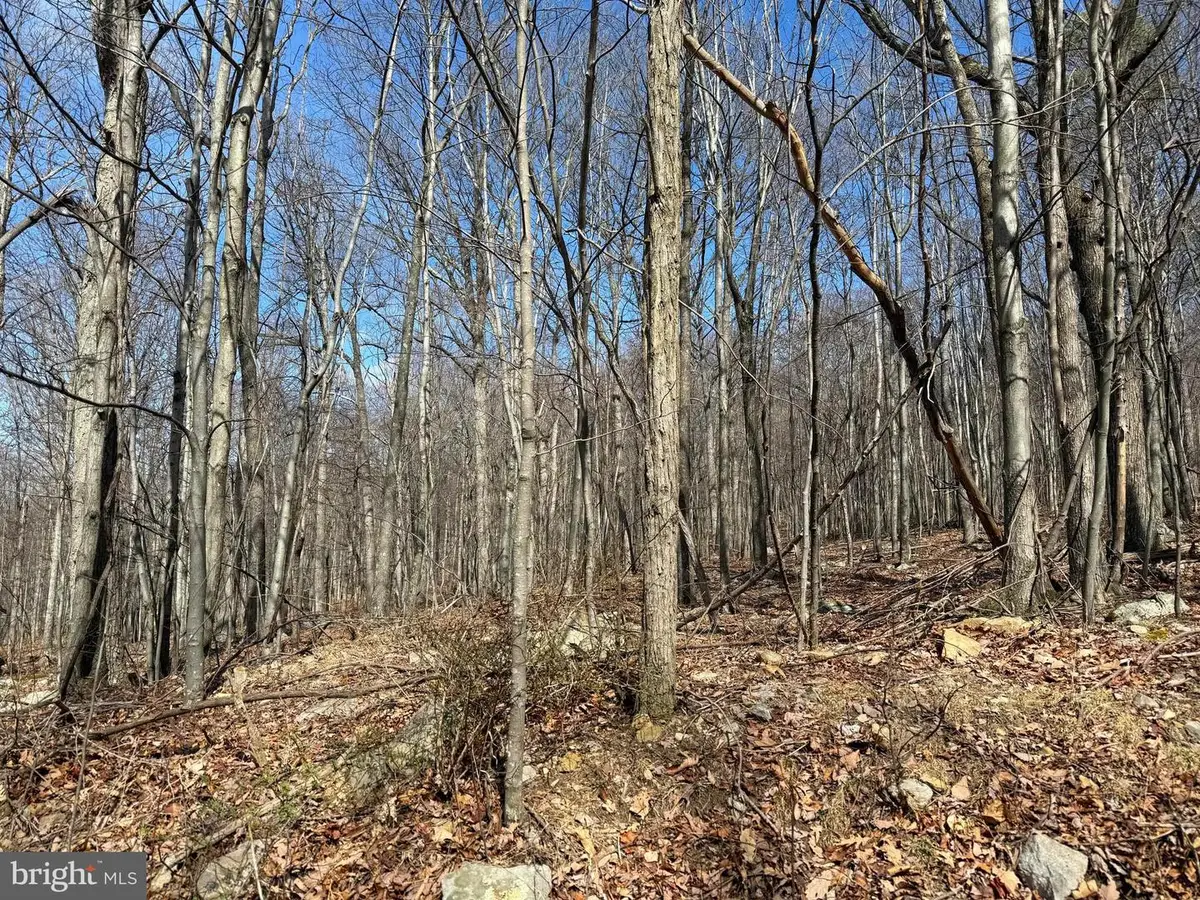 Lot 63 High Mountain View Rd, Romney, WV 26757 - #1