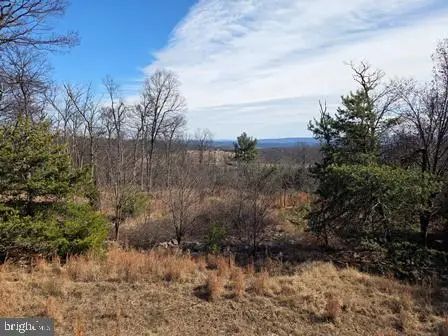 942 Wild Boar Rd, Augusta, WV 26704 - #3