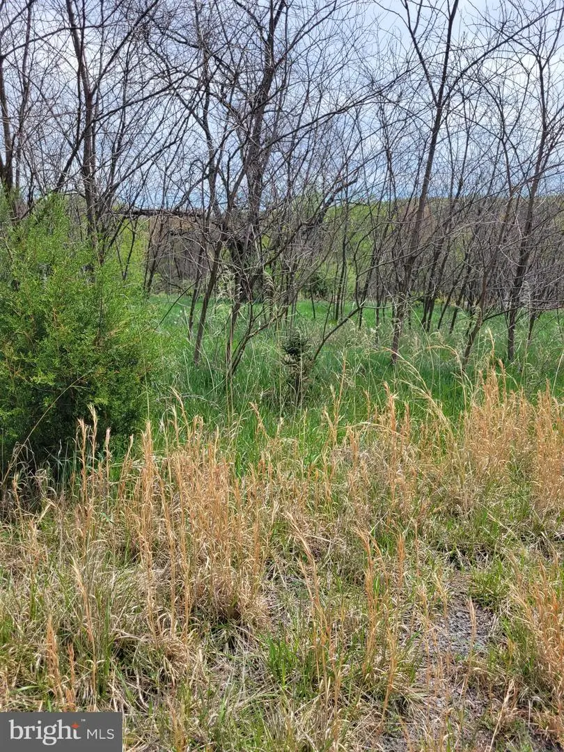 231 Stoney Apple Dr, Romney, WV 26757 - #3