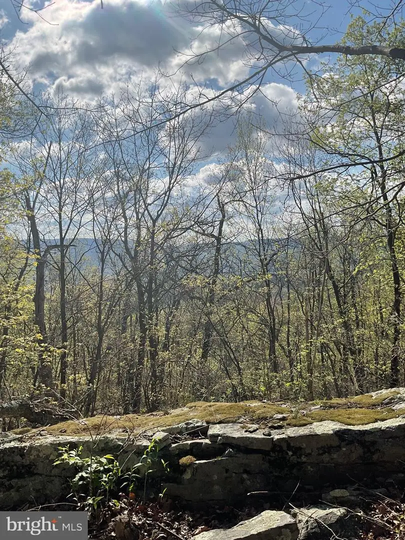 Lot 44a Mountain Top Rd, Paw Paw, WV 25434 - #2