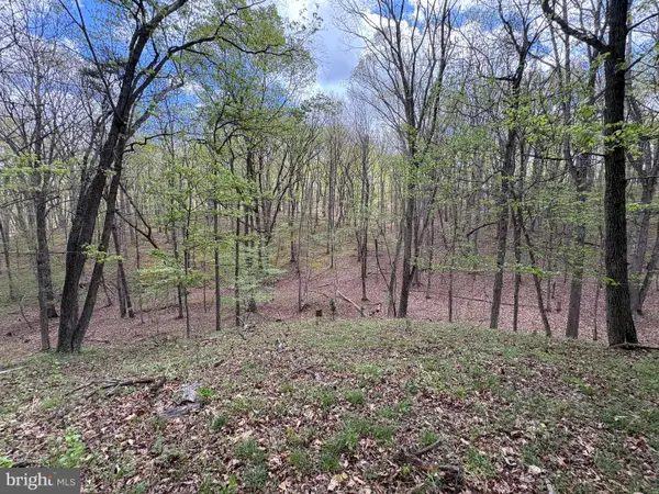 15.02 Ac Beam Rd, ROMNEY, WV 26757